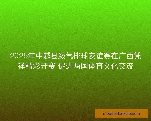 2025年中越县级气排球友谊赛在广西凭祥精彩开赛 促进两国体育文化交流